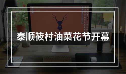 泰顺筱村油菜花节开幕