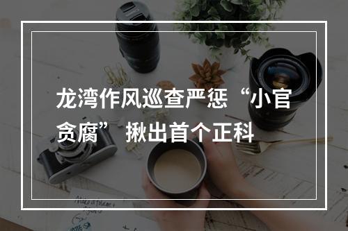 龙湾作风巡查严惩“小官贪腐” 揪出首个正科