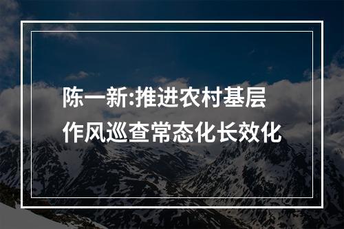陈一新:推进农村基层作风巡查常态化长效化