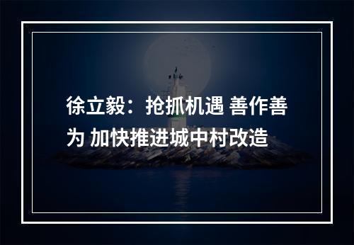 徐立毅：抢抓机遇 善作善为 加快推进城中村改造