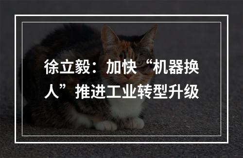 徐立毅：加快“机器换人”推进工业转型升级