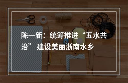 陈一新：统筹推进“五水共治” 建设美丽浙南水乡