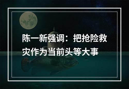 陈一新强调：把抢险救灾作为当前头等大事