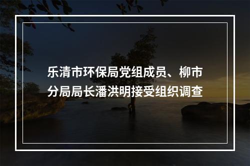 乐清市环保局党组成员、柳市分局局长潘洪明接受组织调查