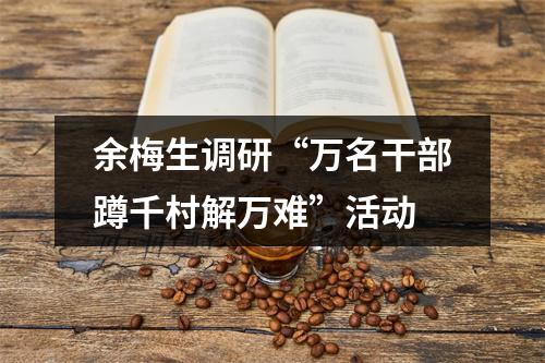 余梅生调研“万名干部蹲千村解万难”活动