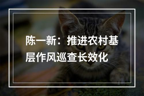 陈一新：推进农村基层作风巡查长效化