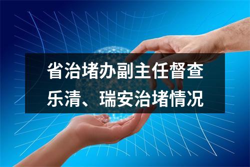 省治堵办副主任督查乐清、瑞安治堵情况
