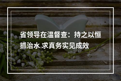 省领导在温督查：持之以恒抓治水 求真务实见成效