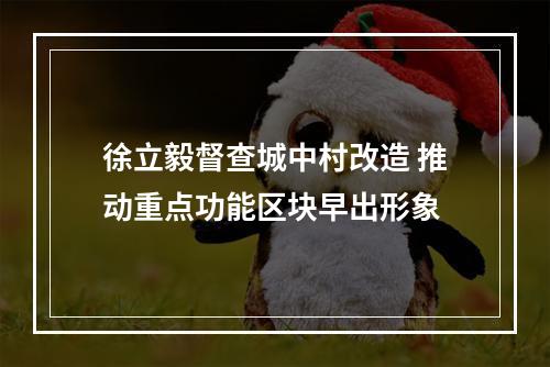 徐立毅督查城中村改造 推动重点功能区块早出形象