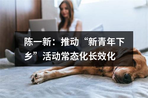 陈一新：推动“新青年下乡”活动常态化长效化