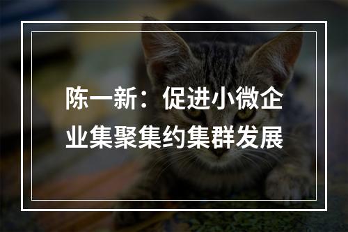 陈一新：促进小微企业集聚集约集群发展