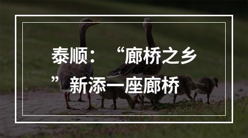 泰顺：“廊桥之乡”新添一座廊桥
