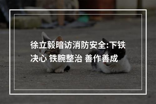 徐立毅暗访消防安全:下铁决心 铁腕整治 善作善成