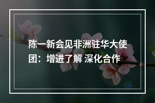 陈一新会见非洲驻华大使团：增进了解 深化合作