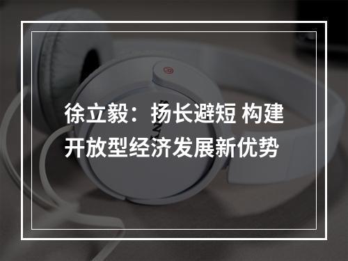 徐立毅：扬长避短 构建开放型经济发展新优势