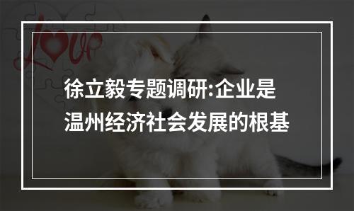 徐立毅专题调研:企业是温州经济社会发展的根基