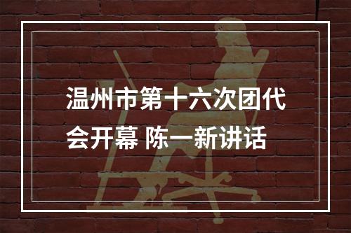 温州市第十六次团代会开幕 陈一新讲话