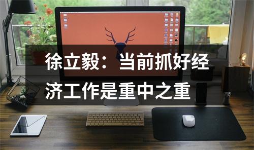 徐立毅：当前抓好经济工作是重中之重