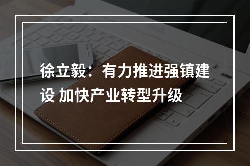 徐立毅：有力推进强镇建设 加快产业转型升级