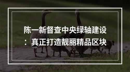 陈一新督查中央绿轴建设：真正打造靓丽精品区块