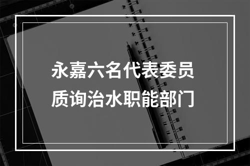 永嘉六名代表委员 质询治水职能部门