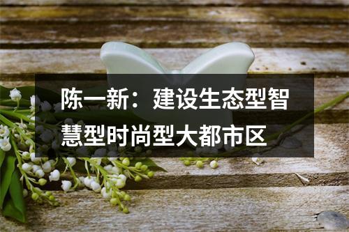 陈一新：建设生态型智慧型时尚型大都市区