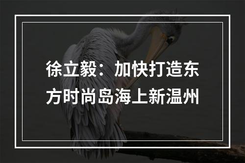 徐立毅：加快打造东方时尚岛海上新温州