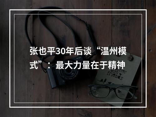 张也平30年后谈“温州模式”：最大力量在于精神