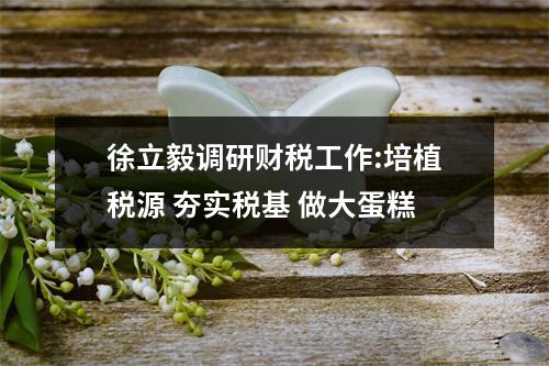 徐立毅调研财税工作:培植税源 夯实税基 做大蛋糕