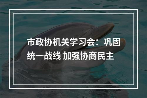 市政协机关学习会：巩固统一战线 加强协商民主