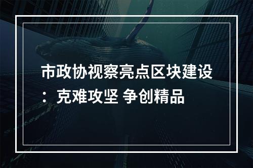 市政协视察亮点区块建设：克难攻坚 争创精品