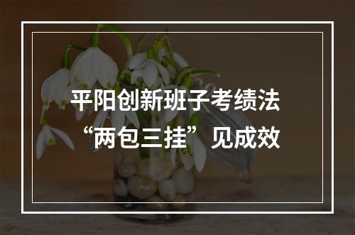 平阳创新班子考绩法 “两包三挂”见成效