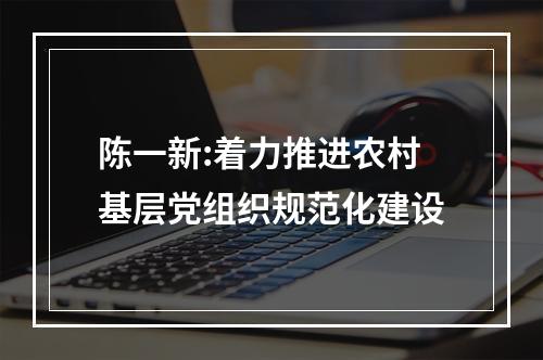 陈一新:着力推进农村基层党组织规范化建设