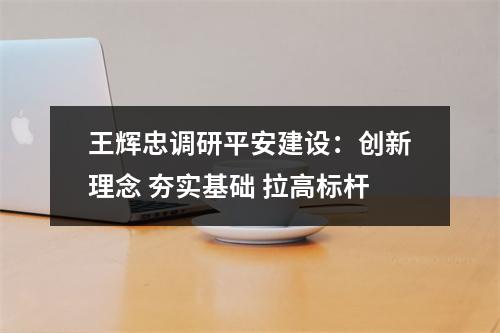 王辉忠调研平安建设：创新理念 夯实基础 拉高标杆
