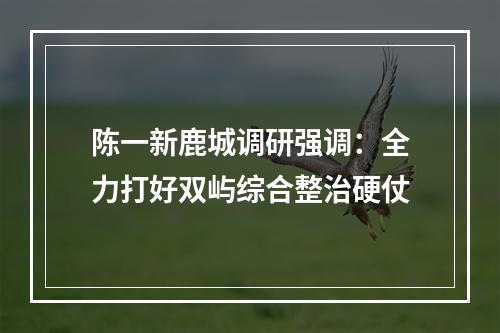 陈一新鹿城调研强调：全力打好双屿综合整治硬仗