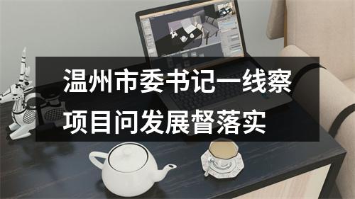 温州市委书记一线察项目问发展督落实