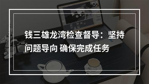 钱三雄龙湾检查督导：坚持问题导向 确保完成任务