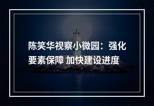 陈笑华视察小微园：强化要素保障 加快建设进度