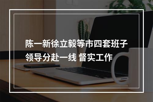 陈一新徐立毅等市四套班子领导分赴一线 督实工作