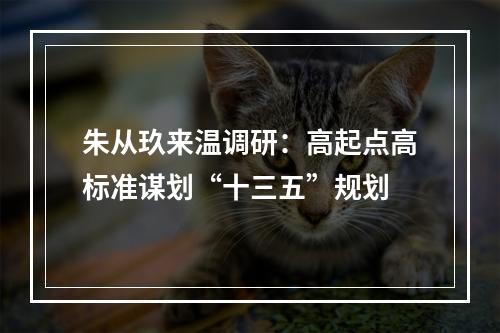 朱从玖来温调研：高起点高标准谋划“十三五”规划