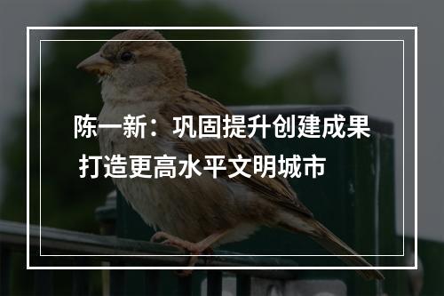 陈一新：巩固提升创建成果 打造更高水平文明城市