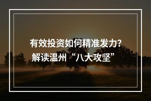 有效投资如何精准发力？ 解读温州“八大攻坚”