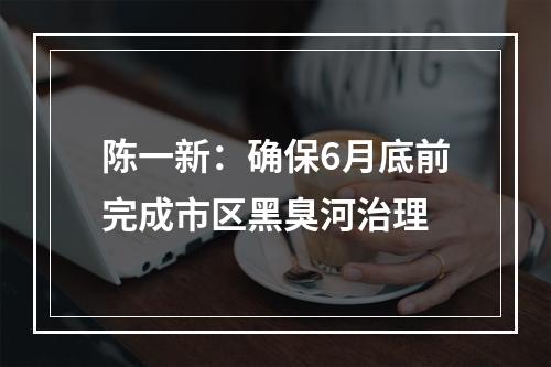陈一新：确保6月底前完成市区黑臭河治理