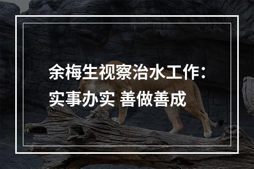 余梅生视察治水工作：实事办实 善做善成