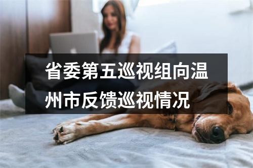 省委第五巡视组向温州市反馈巡视情况