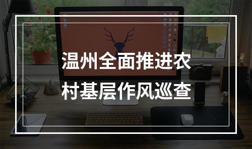 温州全面推进农村基层作风巡查