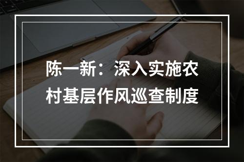 陈一新：深入实施农村基层作风巡查制度