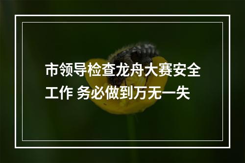 市领导检查龙舟大赛安全工作 务必做到万无一失