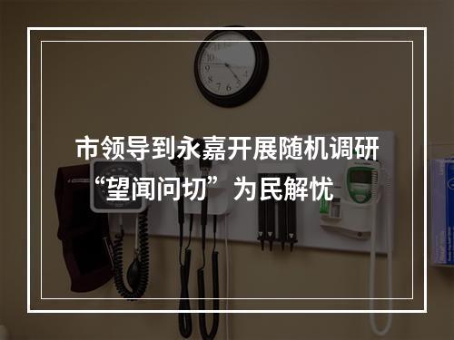 市领导到永嘉开展随机调研 “望闻问切”为民解忧