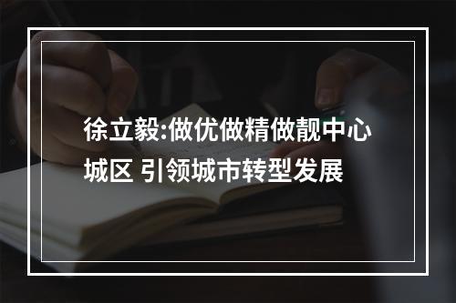 徐立毅:做优做精做靓中心城区 引领城市转型发展